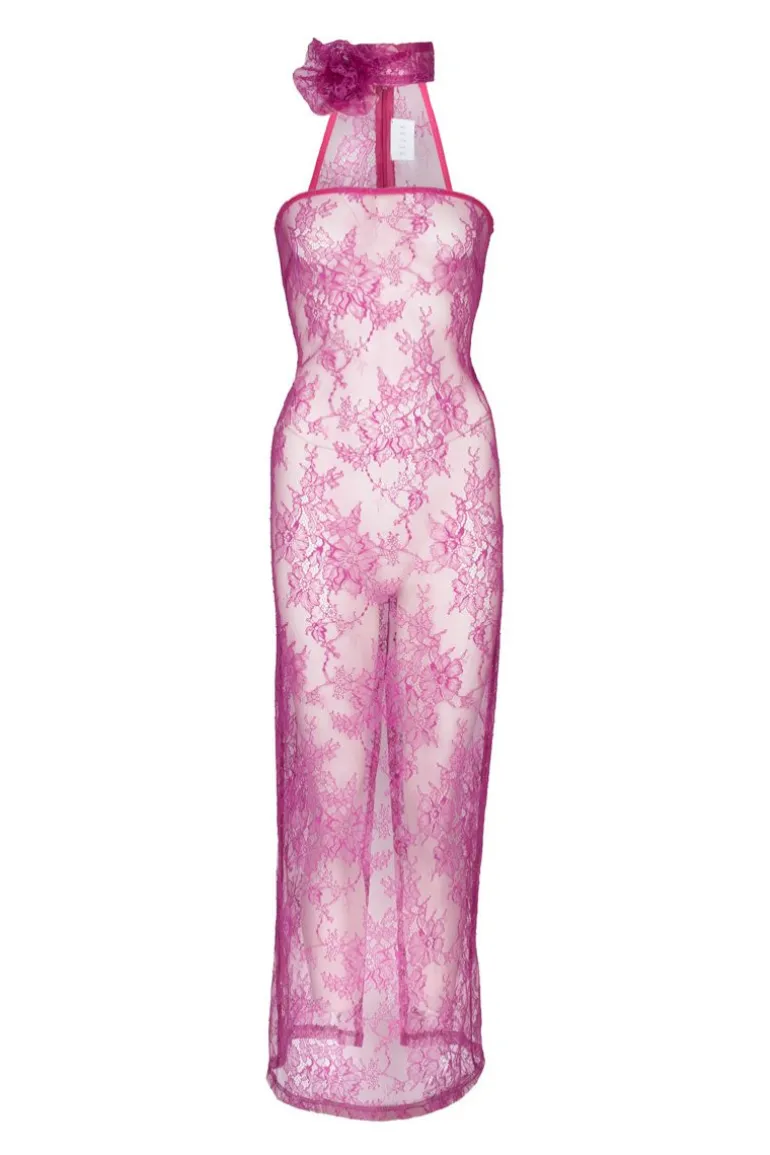 Dresses | Midi Dresses<CULT MIA AURELIE LACE MIDI DRESS Magenta