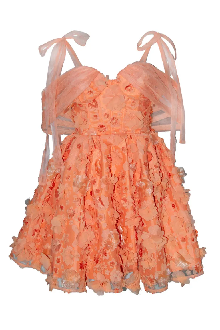 Dresses | Mini Dresses<CULT MIA MARIA CORSET A LINE MINI Coral